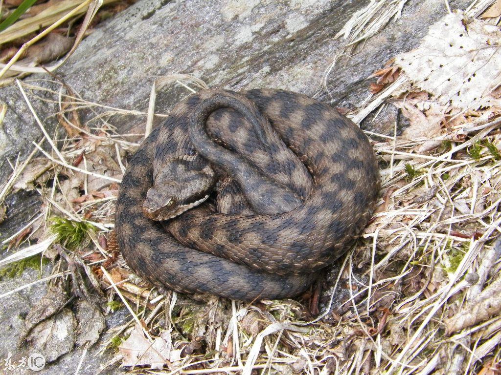 吉林，东北明珠，国之骄傲