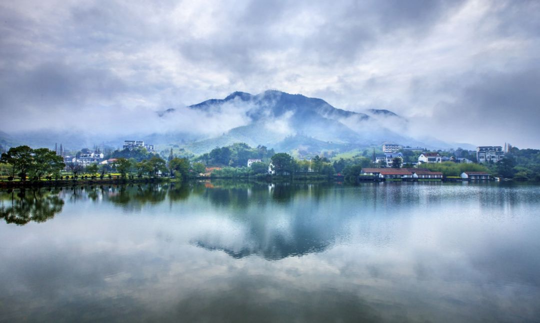 浙江，活力之都，创新热土，商机无限